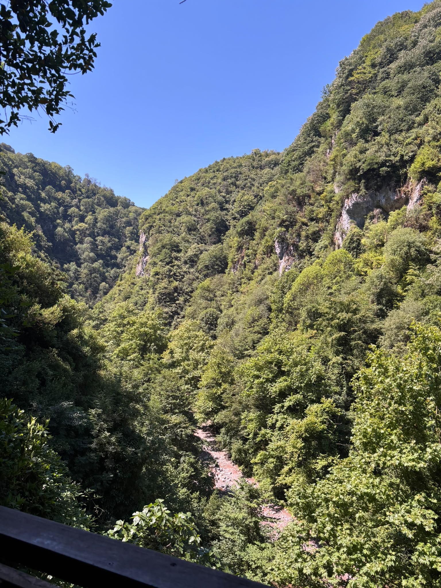 Maden Deresi ve Acarlar Longozu Doğa Yürüyüşü