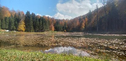 Abant Yaylaları (Torkul, Sinekli, Kocayayla) ve Ormanları Sportif Doğa Yürüyüşü